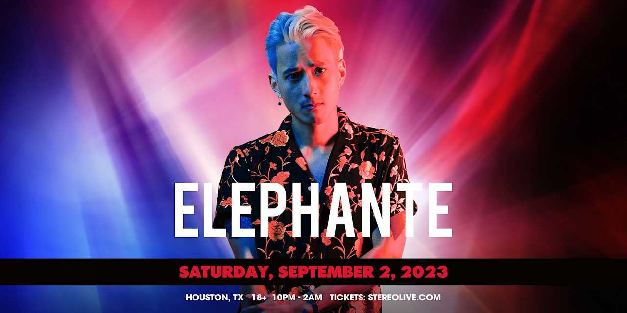 ELEPHANTE ELEPHANTE