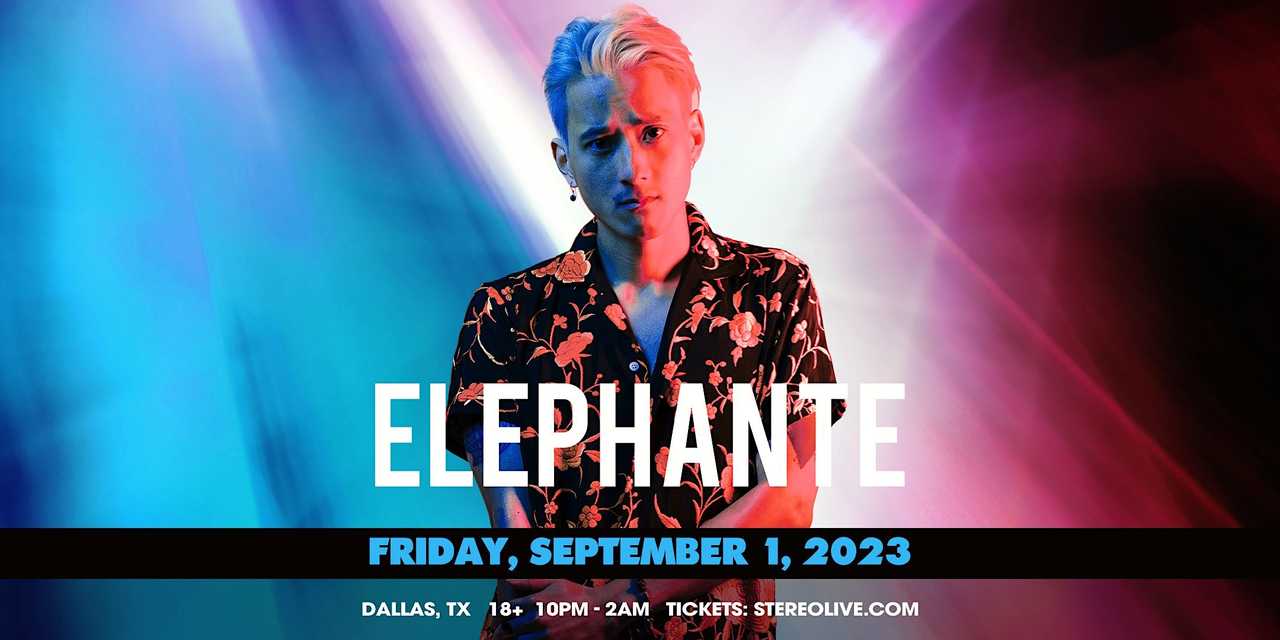 ELEPHANTE ELEPHANTE